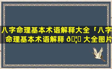 八字命理基本术语解释大全「八字命理基本术语解释 🦄 大全图片」